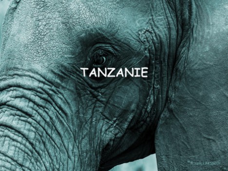 Tanzanie